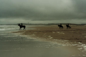 Smouldering beach trip