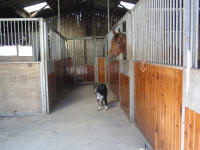 The stables