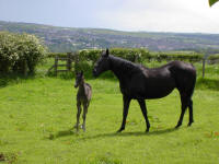 Banjo as a babe with Titch