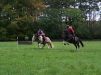 Pepsi and Smudge at High Plains